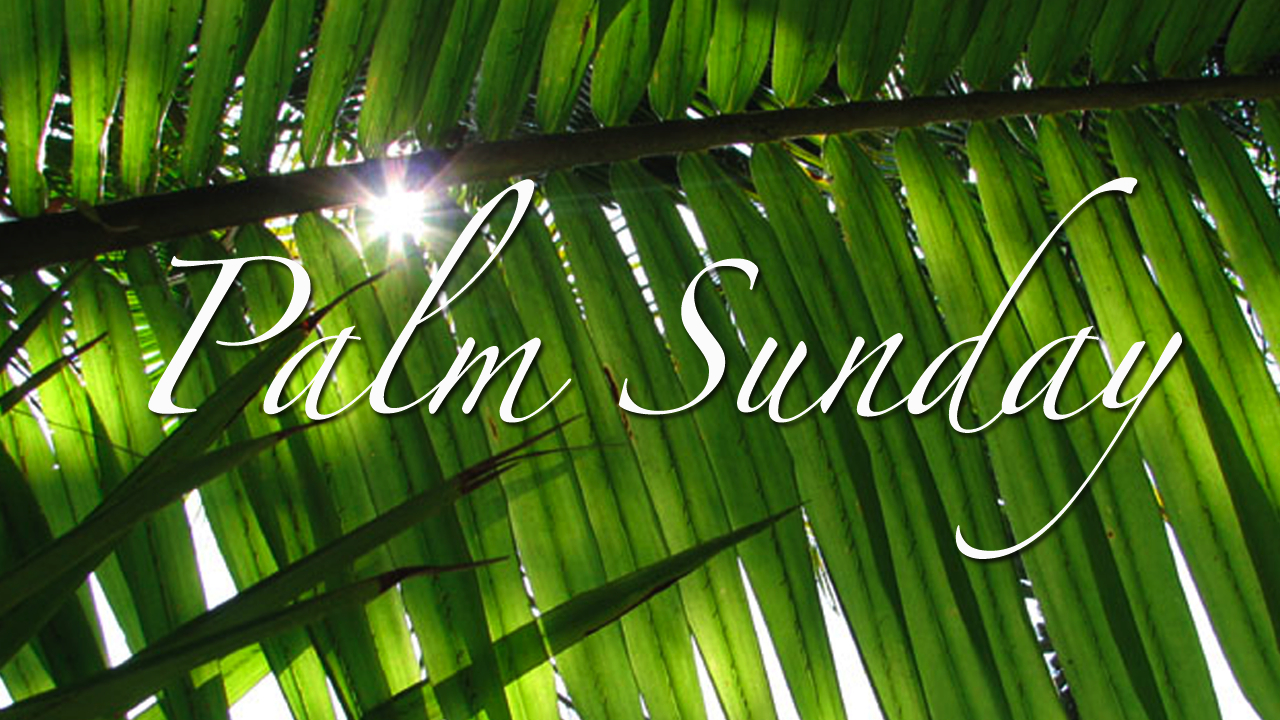 Palm Sunday & Kids Easter Egg Hunt Hollywood United Methodist Church